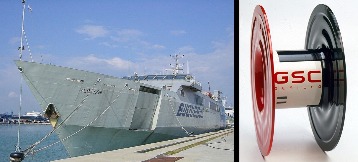 25 years Gesilco Article