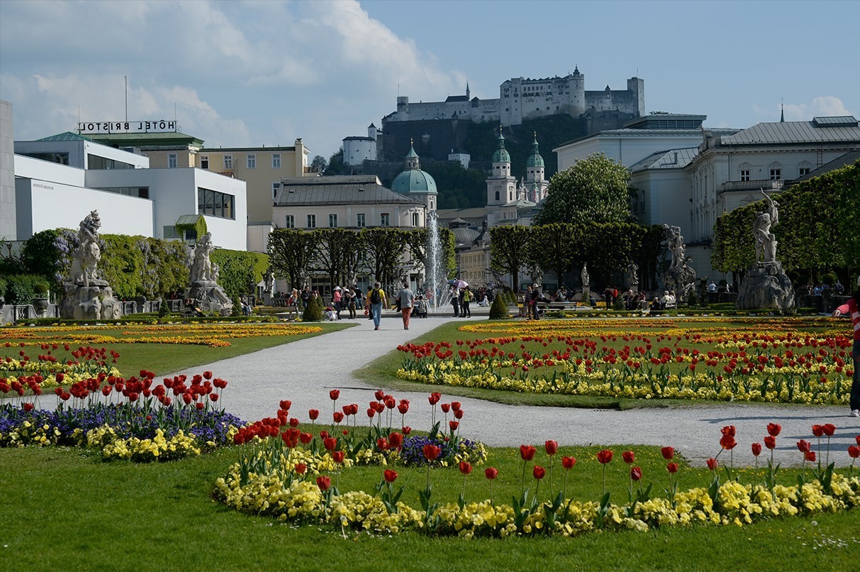 Article TVS 2020 Salzburg